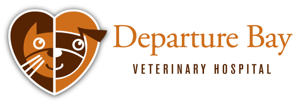 Departure Bay Veterinary Hospital